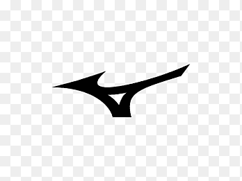 Mizuno